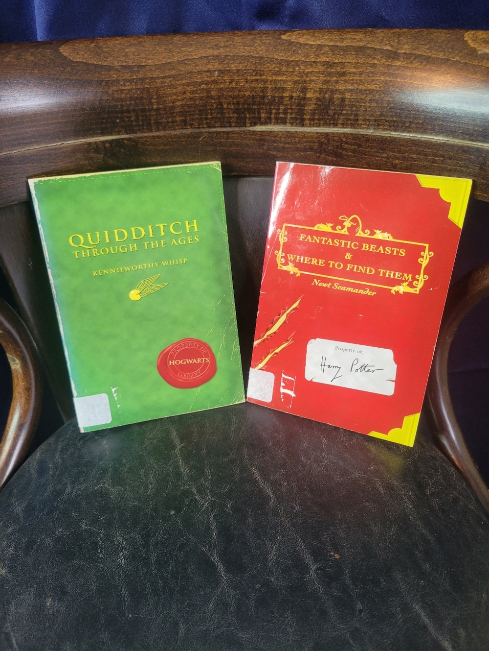 Warner Bros. Quidditch & Fantastic Beasts Paperback Book Set, READ DESCRIPTION